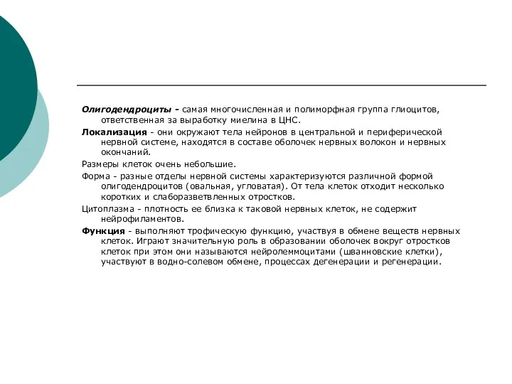 Олигодендроциты - самая многочисленная и полиморфная группа глиоцитов, ответственная за