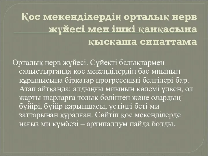 Қос мекенділердің орталық нерв жүйесі мен ішкі қанқасына қысқаша сипаттама