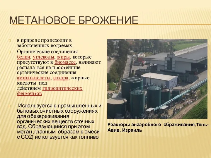 МЕТАНОВОЕ БРОЖЕНИЕ в природе происходит в заболоченных водоемах. Органические соединения