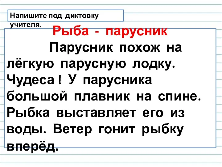 Рыба - парусник Парусник похож на лёгкую парусную лодку. Чудеса