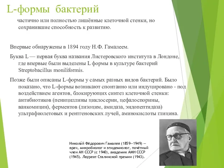 L-формы бактерий частично или полностью лишённые клеточной стенки, но сохранившие