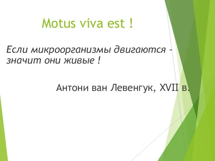 Motus viva est ! Если микроорганизмы двигаются - значит они