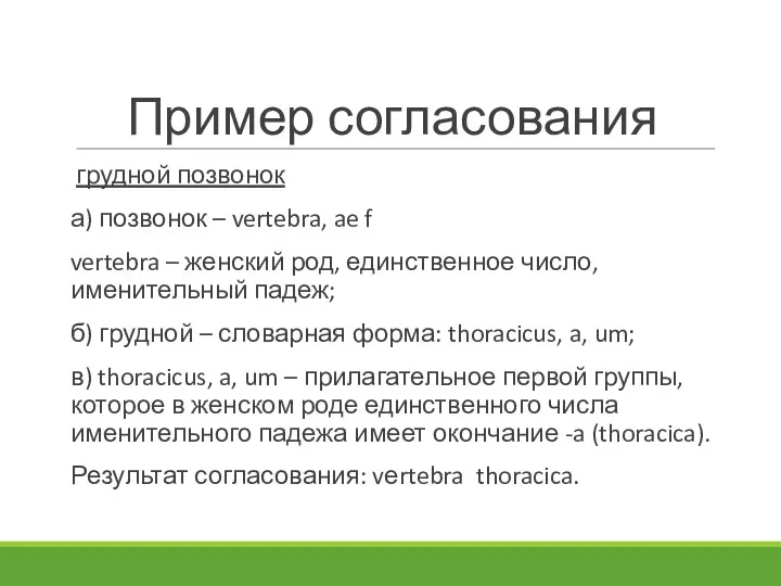 Пример согласования грудной позвонок а) позвонок – vertebra, ae f