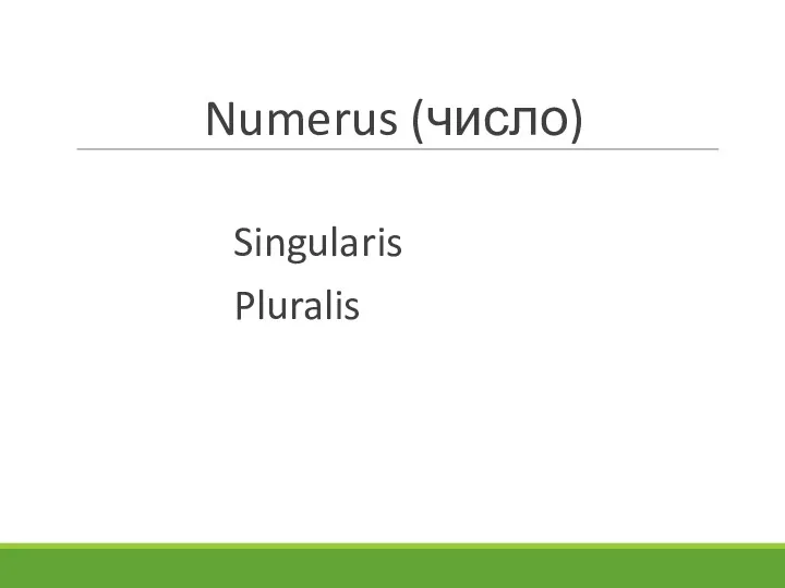 Numerus (число) Singularis Pluralis