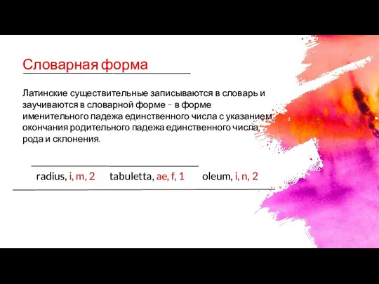 Словарная форма Латинские существительные записываются в словарь и заучиваются в