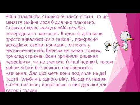 Якби пташенята стрижів вчилися літати, то це заняття закінчилося б