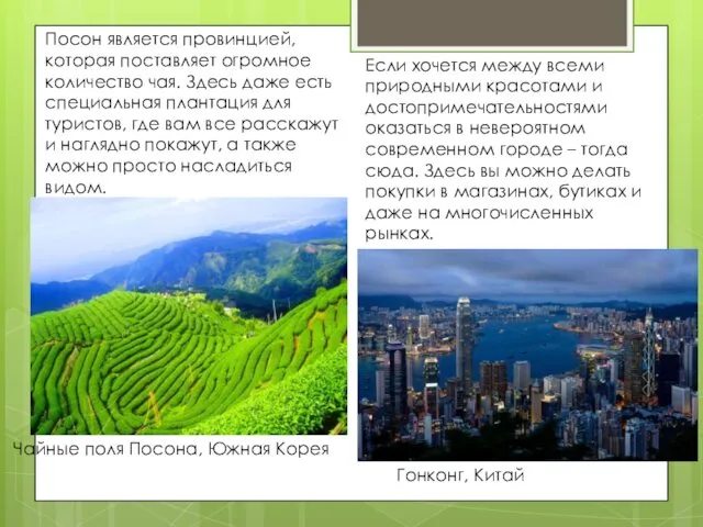 Гонконг, Китай Чайные поля Посона, Южная Корея Посон является провинцией,