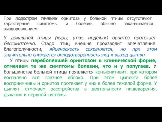 При подостром течении орнитоза у больной птицы отсутствуют характерные симптомы