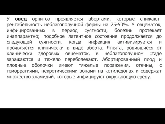 У овец орнитоз проявляется абортами, которые снижают рентабельность неблагополучной фермы