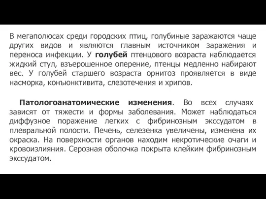 В мегаполюсах среди городских птиц, голубиные заражаются чаще других видов