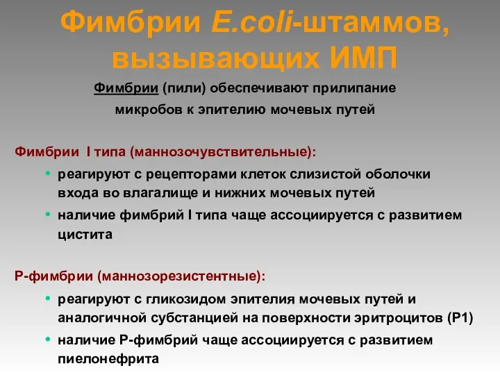 Фимбрии E.coli-штаммов, вызывающих ИМП Фимбрии (пили) обеспечивают прилипание микробов к