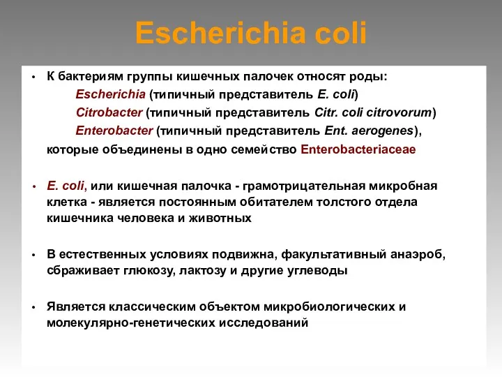 Escherichia coli К бактериям группы кишечных палочек относят роды: Escherichia