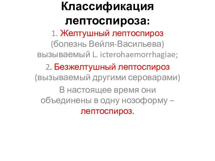 Классификация лептоспироза: 1. Желтушный лептоспироз (болезнь Вейля-Васильева) вызываемый L. icterohaemorrhagiae;