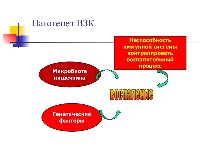 Патогенез ВЗК Микробиота кишечника Генетические факторы Неспособность иммунной системы контролировать воспалительный процесс воспаление