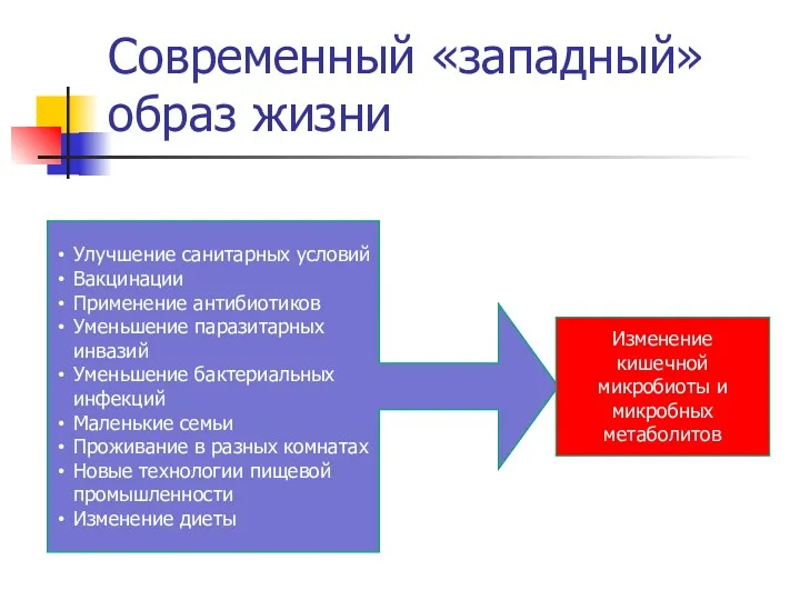 Современный «западный» образ жизни Улучшение санитарных условий Вакцинации Применение антибиотиков