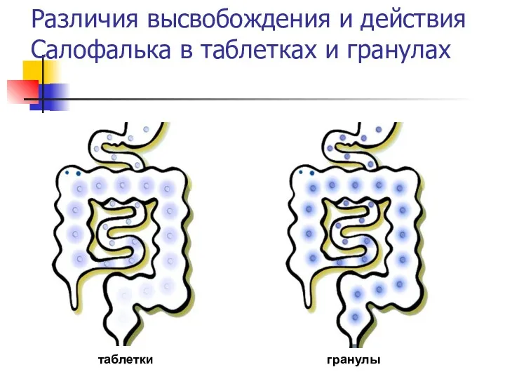 Различия высвобождения и действия Салофалька в таблетках и гранулах таблетки гранулы