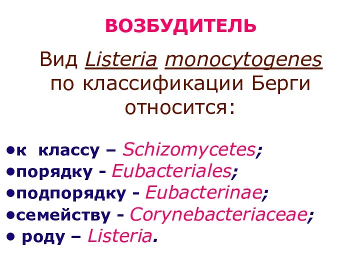ВОЗБУДИТЕЛЬ Вид Listeria monocytogenes по классификации Берги относится: к классу – Schizomycetes; порядку
