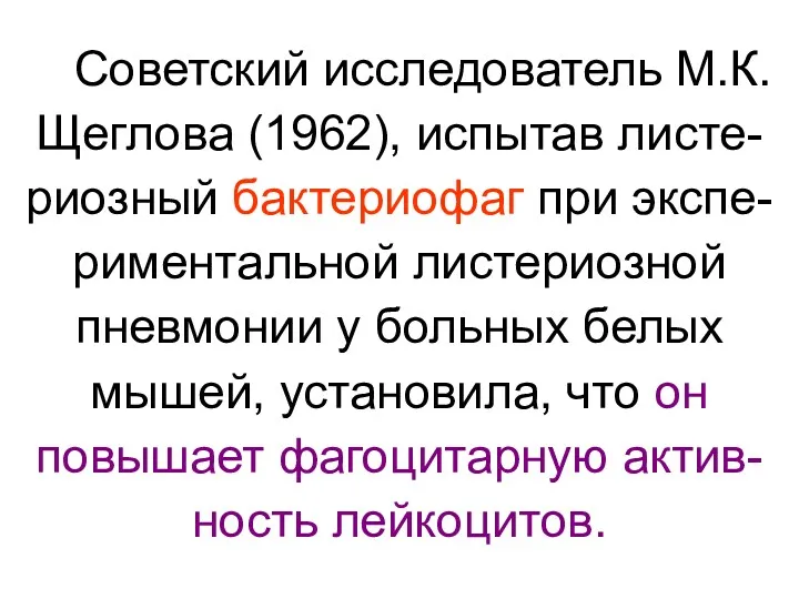 Советский исследователь М.К. Щеглова (1962), испытав листе-риозный бактериофаг при экспе-риментальной листериозной пневмонии у