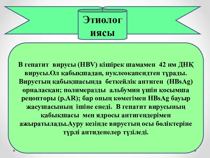 Этиологиясы В гепатит вирусы (HBV) кішірек шамамен 42 нм ДНҚ вирусы.Ол қабықшадан, нуклеокапсидтен
