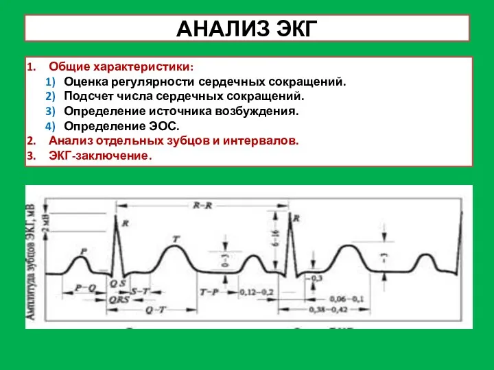 АНАЛИЗ ЭКГ Общие характеристики: Оценка регулярности сердечных сокращений. Подсчет числа