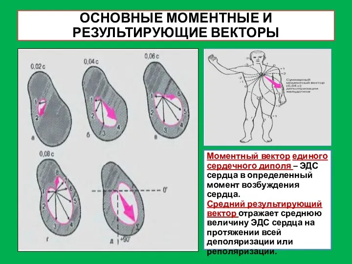 ОСНОВНЫЕ МОМЕНТНЫЕ И РЕЗУЛЬТИРУЮЩИЕ ВЕКТОРЫ Моментный вектор единого сердечного диполя