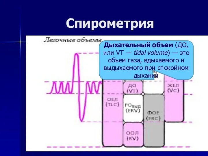 Спирометрия Дыхательный объем (ДО, или VT — tidal volume) —