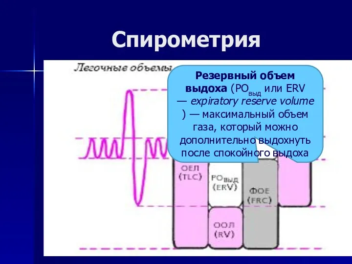 Спирометрия Резервный объем выдоха (РОвыд или ERV — expiratory reserve