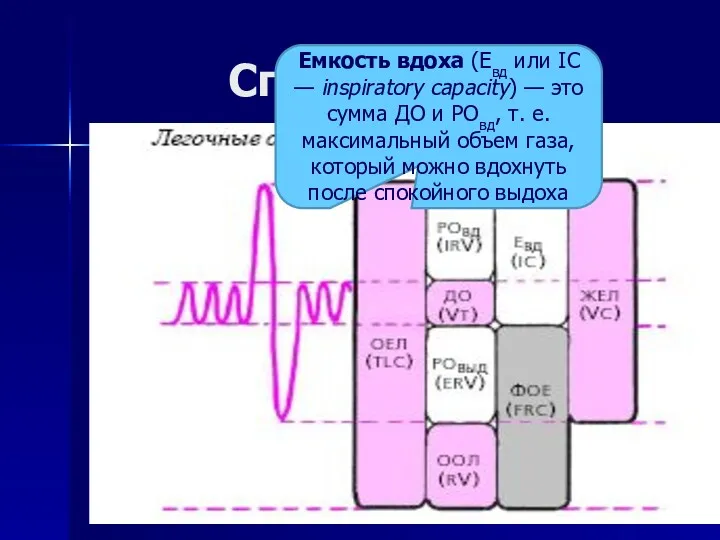 Спирометрия Емкость вдоха (Евд или IC — inspiratory capacity) —