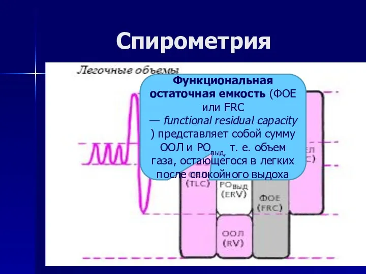 Спирометрия Функциональная остаточная емкость (ФОЕ или FRC — functional residual