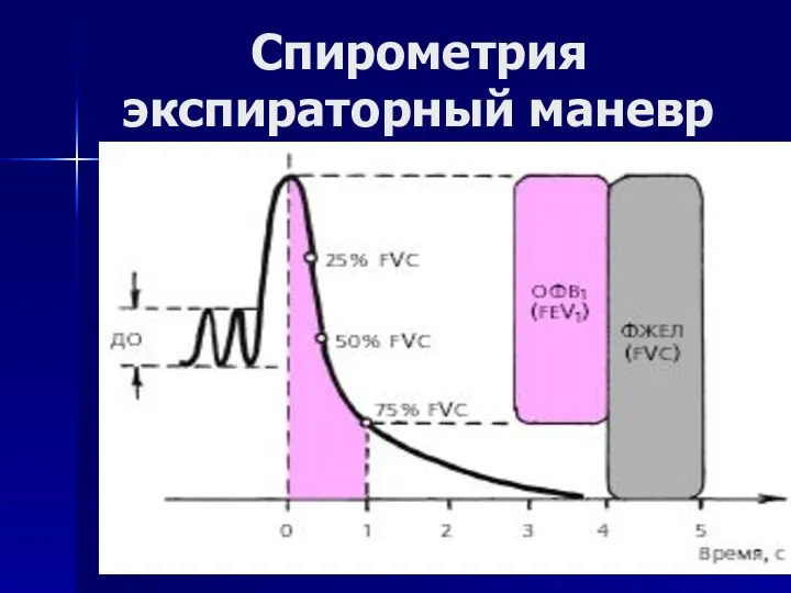 Спирометрия экспираторный маневр