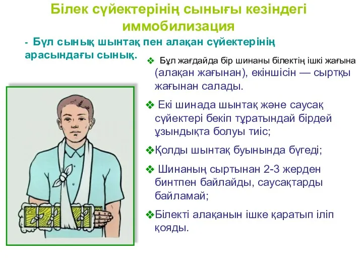 Білек сүйектерінің сынығы кезіндегі иммобилизация Бұл жағдайда бір шинаны білектің