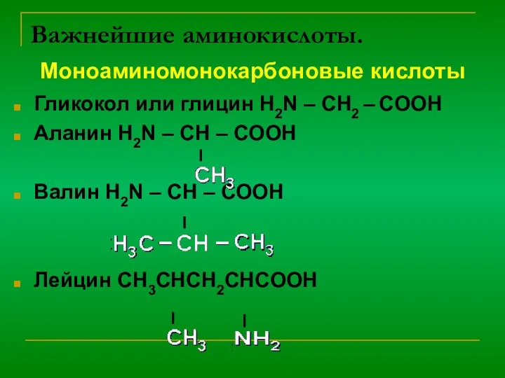 Важнейшие аминокислоты. Гликокол или глицин H2N – CH2 – COOH