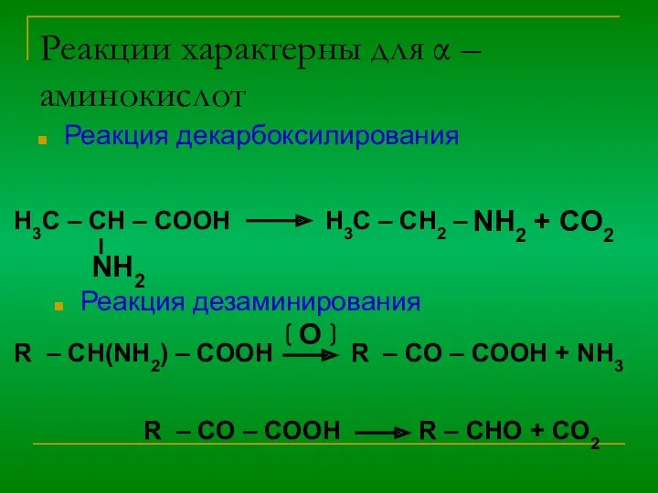 Реакции характерны для α – аминокислот Реакция декарбоксилирования H3C –