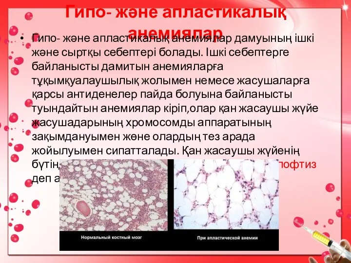 Гипо- және апластикалық анемиялар Гипо- және апластикалық анемиялар дамуының ішкі