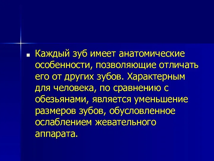 Каждый зуб имеет анатомические особенности, позволяющие отличать его от других