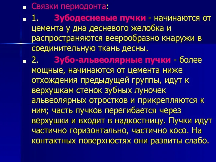 Связки периодонта: 1. Зубодесневые пучки - начинаются от цемента у