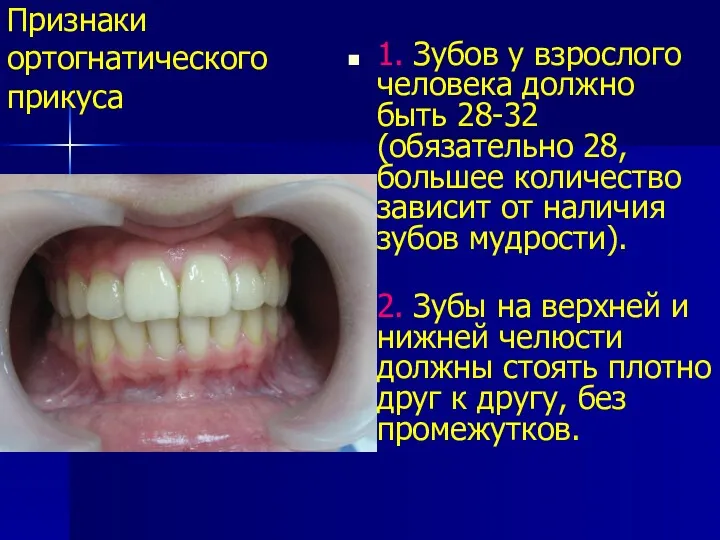 Признаки ортогнатического прикуса 1. Зубов у взрослого человека должно быть