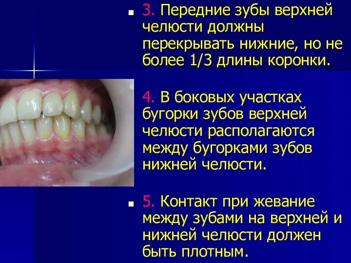 3. Передние зубы верхней челюсти должны перекрывать нижние, но не