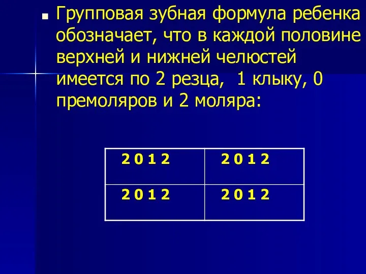 Групповая зубная формула ребенка обозначает, что в каждой половине верхней