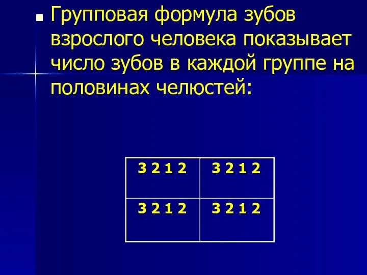 Групповая формула зубов взрослого человека показывает число зубов в каждой группе на половинах челюстей: