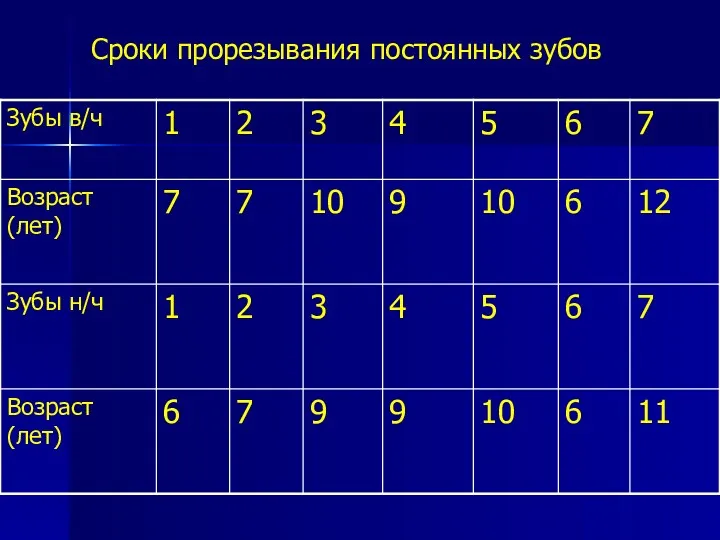 Сроки прорезывания постоянных зубов