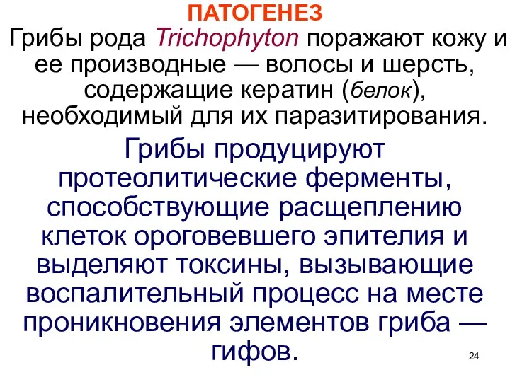 ПАТОГЕНЕЗ Грибы рода Trichophyton поражают кожу и ее производные —