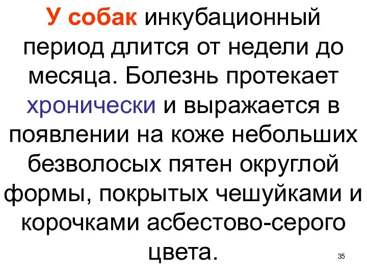 У собак инкубационный период длится от недели до месяца. Болезнь