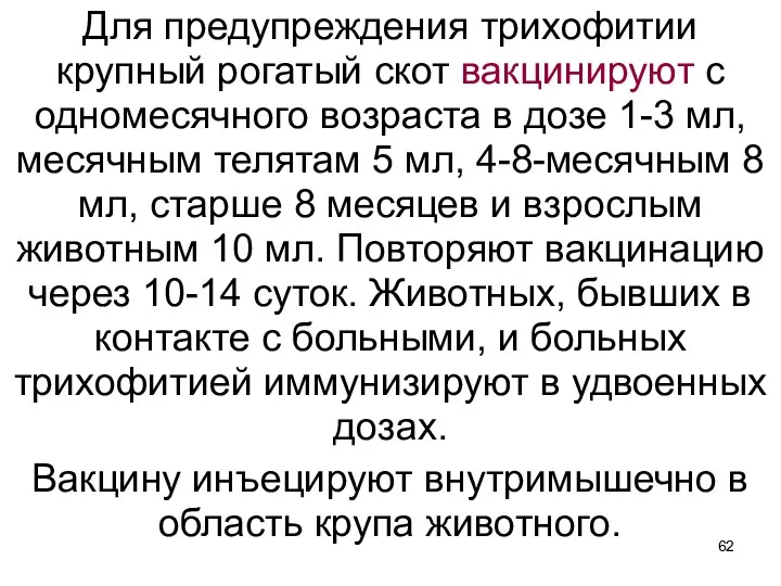 Для предупреждения трихофитии крупный рогатый скот вакцинируют с одномесячного возраста