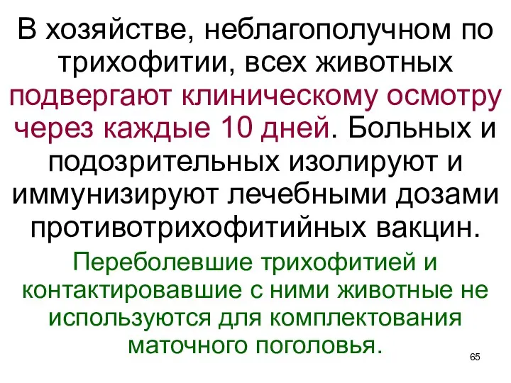 В хозяйстве, неблагополучном по трихофитии, всех животных подвергают клиническому осмотру