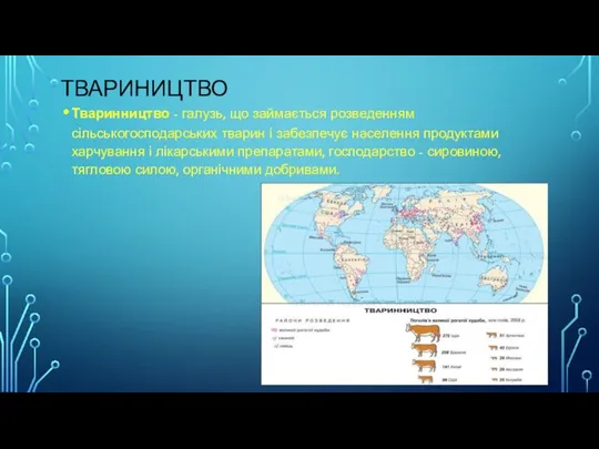 ТВАРИНИЦТВО Тваринництво - галузь, що займається розведенням сільськогосподарських тварин і