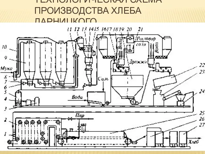 ТЕХНОЛОГИЧЕСКАЯ СХЕМА ПРОИЗВОДСТВА ХЛЕБА ДАРНИЦКОГО