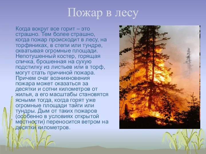 Пожар в лесу Когда вокруг все горит – это страшно.