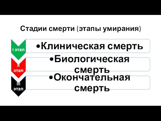 Стадии смерти (этапы умирания)