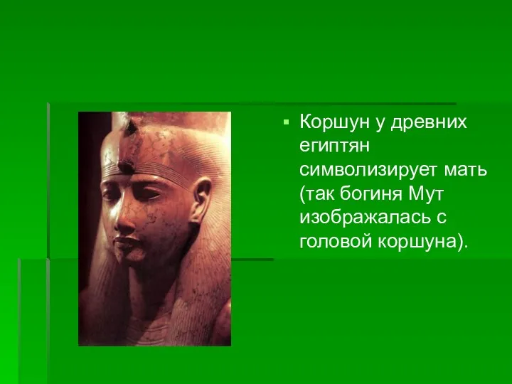 Коршун у древних египтян символизирует мать (так богиня Мут изображалась с головой коршуна).